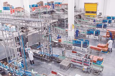 招大引強(qiáng)壯大食品產(chǎn)業(yè)鏈 譜寫銷售新篇章